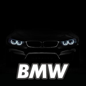 BMW logo