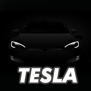 TESLA logo